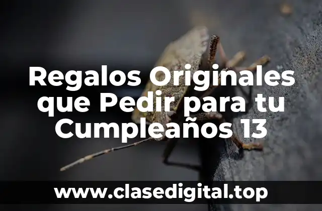 Regalos Originales que Pedir para tu Cumpleaños 13