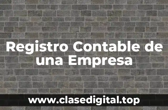 Registro Contable de una Empresa