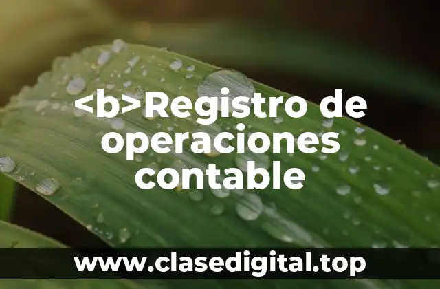 <b>Registro de operaciones contable