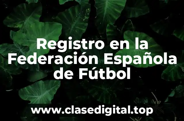 ¿Qué es el Registro en la Federación Española de Fútbol?