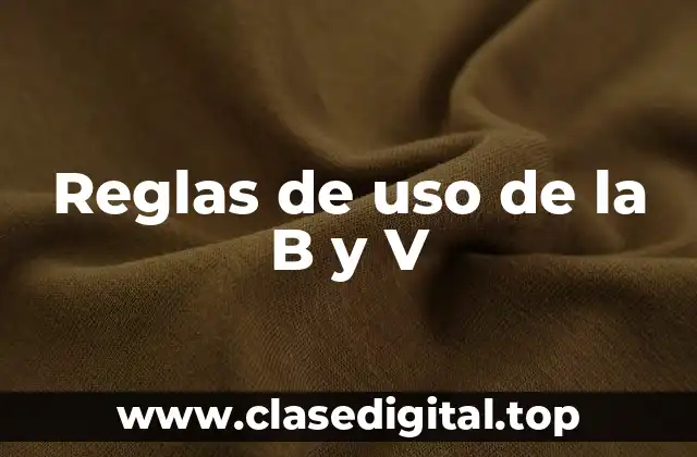 Reglas de uso de la B y V