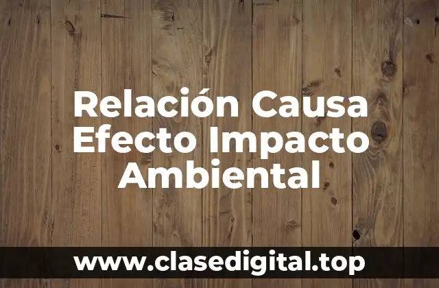 Relación Causa Efecto Impacto Ambiental