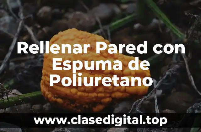 Rellenar Pared con Espuma de Poliuretano