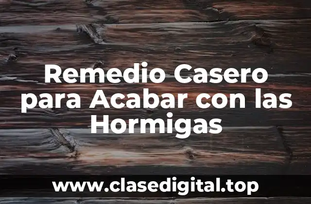 ¿Por qué las Hormigas Invaden nuestras Casas?