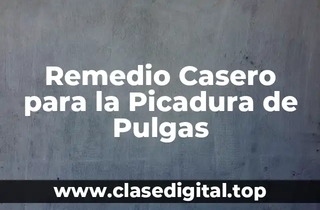 Remedio Casero para la Picadura de Pulgas