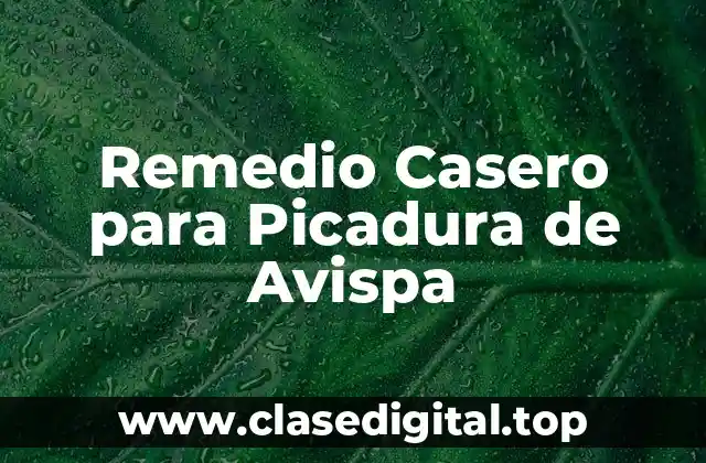 ¿Cuáles son los Síntomas de una Picadura de Avispa?