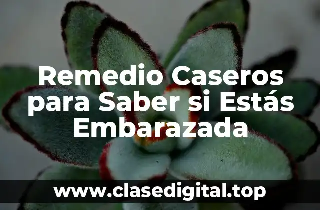 Remedio Caseros para Saber si Estás Embarazada