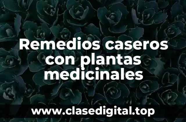 Remedios caseros con plantas medicinales