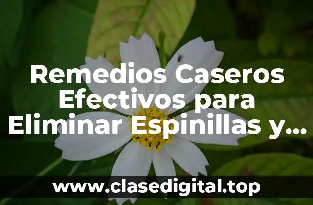 Remedios Caseros Efectivos para Eliminar Espinillas y Puntos Negros