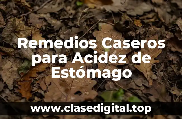 Causas Comunes de la Acidez de Estómago