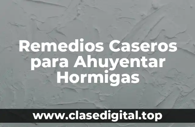 Remedios Caseros para Ahuyentar Hormigas