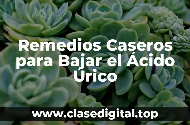 Remedios Caseros para Bajar el Ácido Úrico