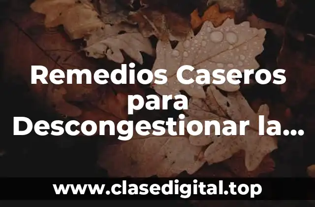 Remedios Caseros para Descongestionar la Nariz