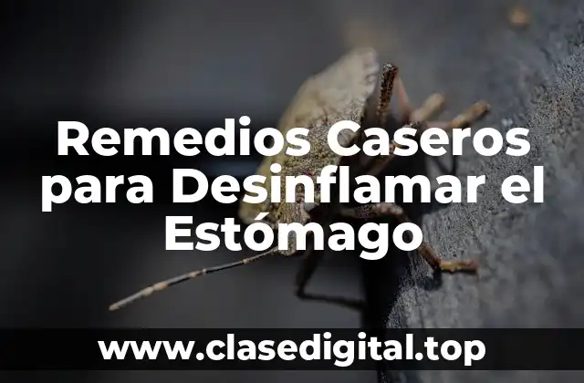Remedios Caseros para Desinflamar el Estómago