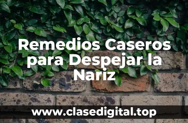 Remedios Caseros para Despejar la Nariz