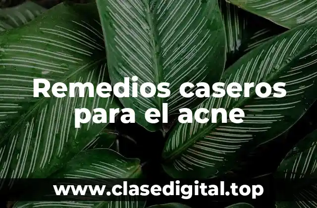 Remedios caseros para el acne
