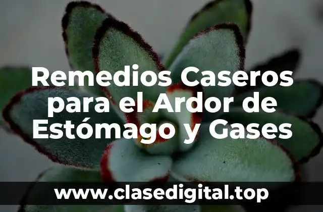 Remedios Caseros para el Ardor de Estómago y Gases