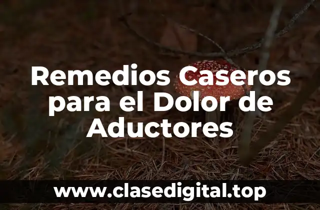 ¿Cuáles son las Causas del Dolor de Aductores?