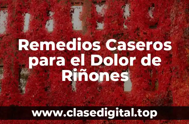 Remedios Caseros para el Dolor de Riñones