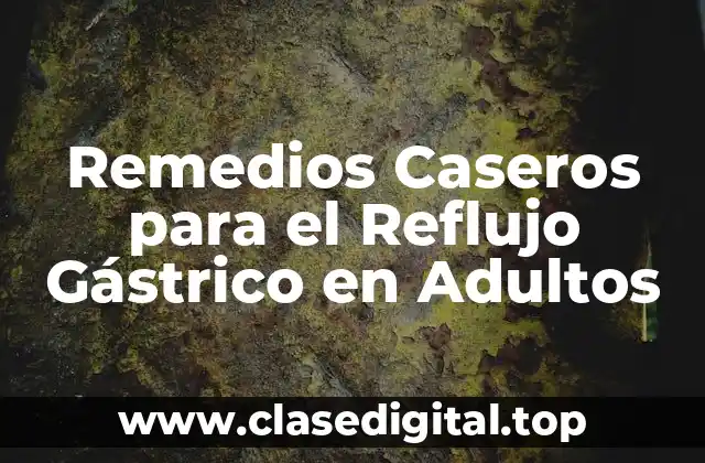 Remedios Caseros para el Reflujo Gástrico en Adultos