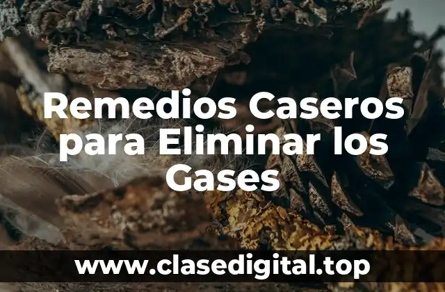 Remedios Caseros para Eliminar los Gases