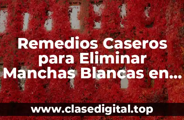Remedios Caseros para Eliminar Manchas Blancas en la Piel Causadas por el Sol