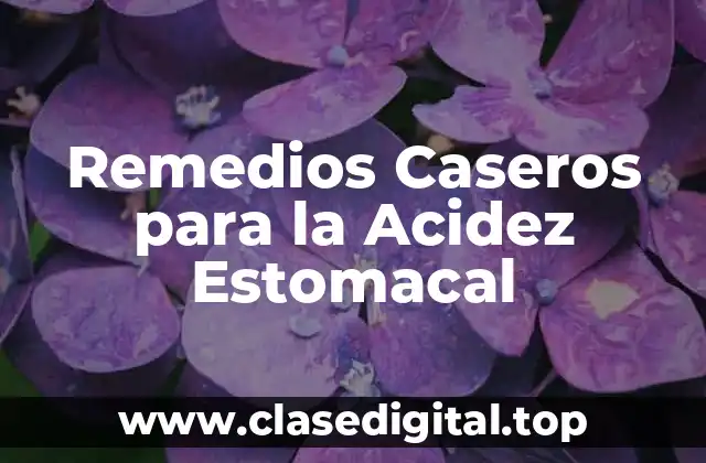 Remedios Caseros para la Acidez Estomacal