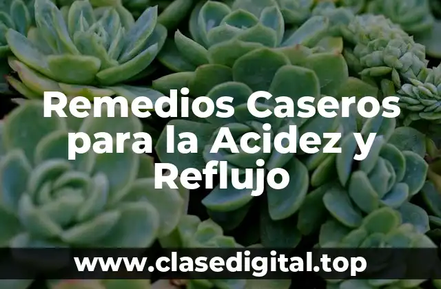 Causas Comunes de la Acidez y Reflujo