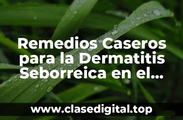 Remedios Caseros para la Dermatitis Seborreica en el Cuero Cabelludo