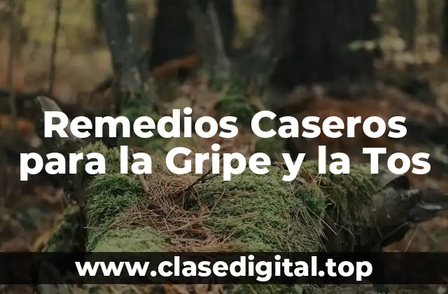 Remedios Caseros para la Gripe y la Tos