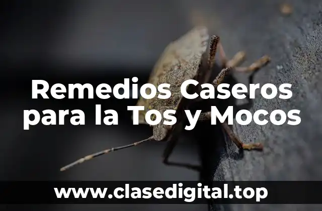 Remedios Caseros para la Tos y Mocos