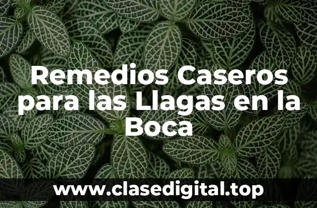Remedios Caseros para las Llagas en la Boca