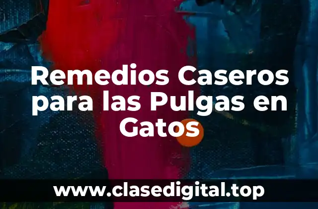 Remedios Caseros para las Pulgas en Gatos