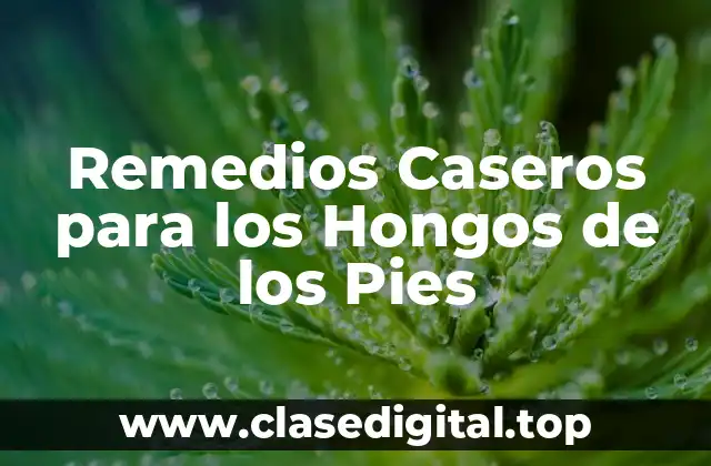¿Cuáles son las Causas de los Hongos de los Pies?