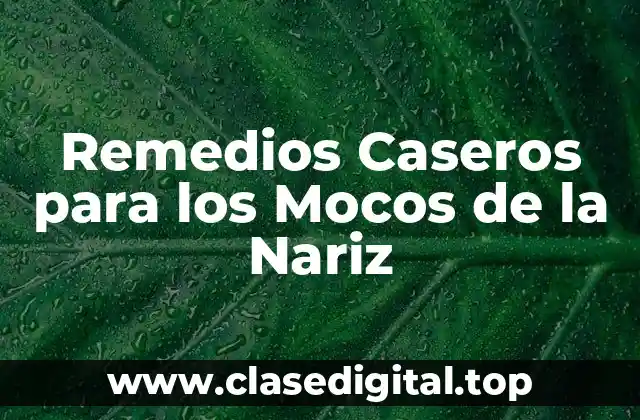 Remedios Caseros para los Mocos de la Nariz