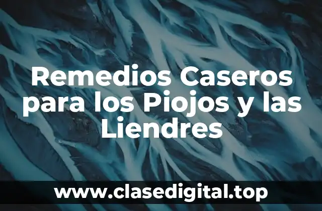 Remedios Caseros para los Piojos y las Liendres
