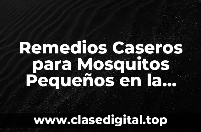 Remedios Caseros para Mosquitos Pequeños en la Cocina