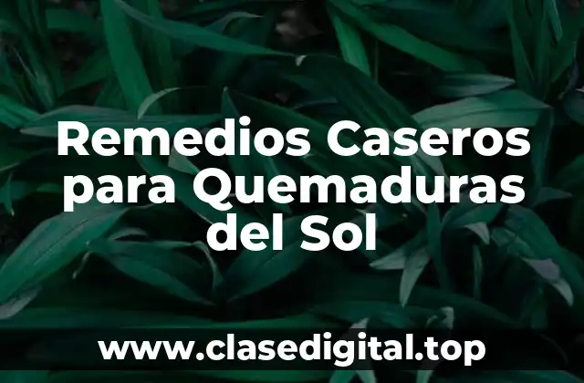 Remedios Caseros para Quemaduras del Sol