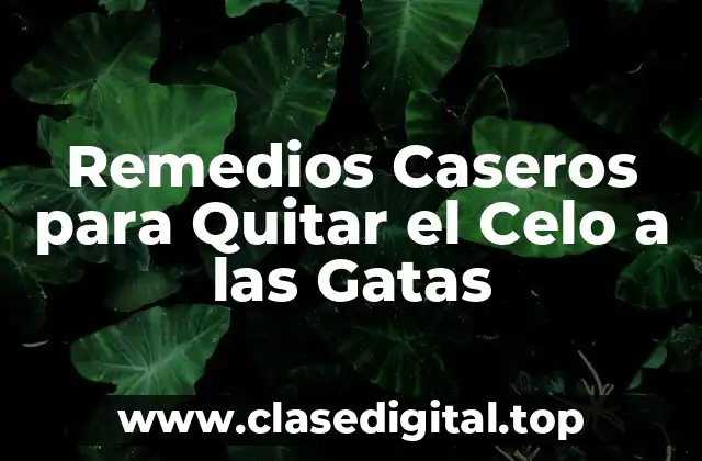 Remedios Caseros para Quitar el Celo a las Gatas
