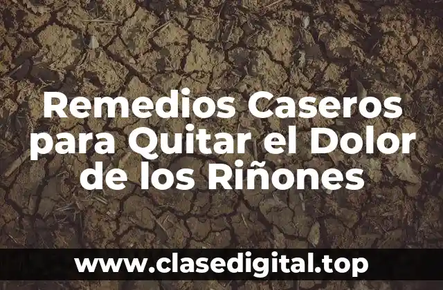 Remedios Caseros para Quitar el Dolor de los Riñones