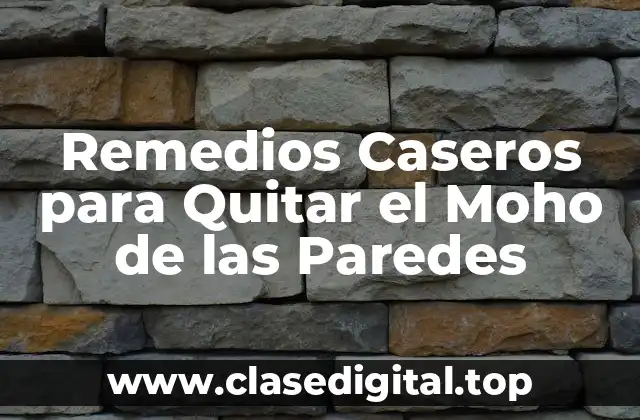 ¿Qué es el Moho y Cómo se Desarrolla en las Paredes?