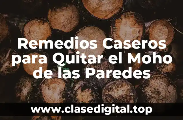 Causas del Moho en las Paredes