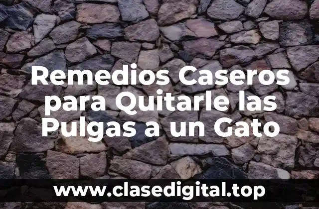 Remedios Caseros para Quitarle las Pulgas a un Gato