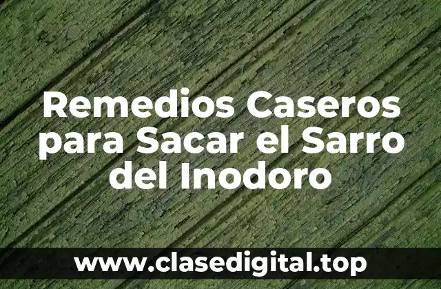 Remedios Caseros para Sacar el Sarro del Inodoro