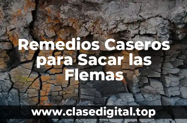 Remedios Caseros para Sacar las Flemas