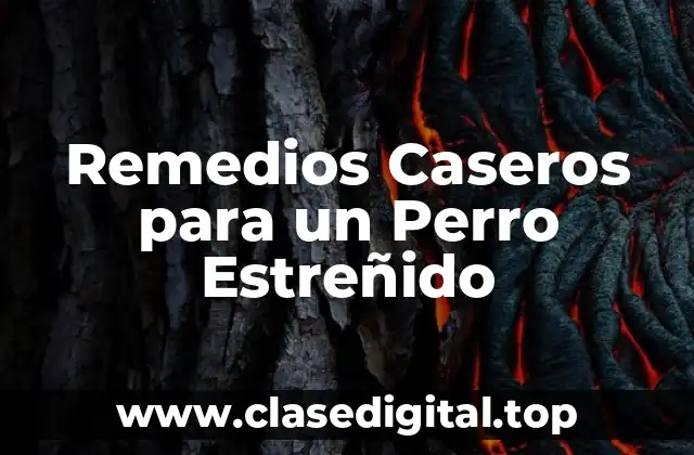 Remedios Caseros para un Perro Estreñido