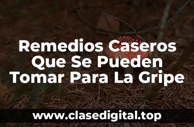 Remedios Caseros Que Se Pueden Tomar Para La Gripe