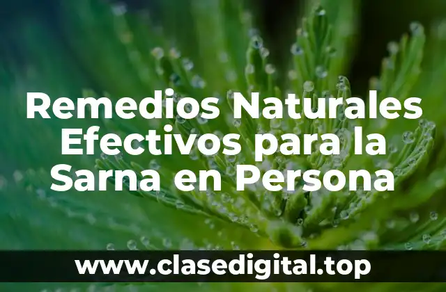 Remedios Naturales Efectivos para la Sarna en Persona