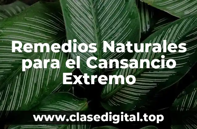 Remedios Naturales para el Cansancio Extremo