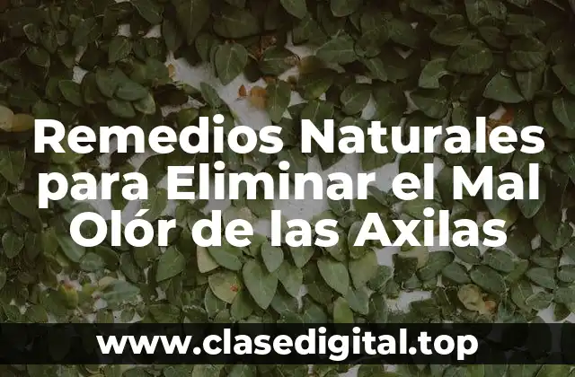 Remedios Naturales para Eliminar el Mal Olór de las Axilas